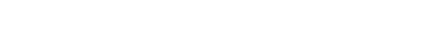 visionary